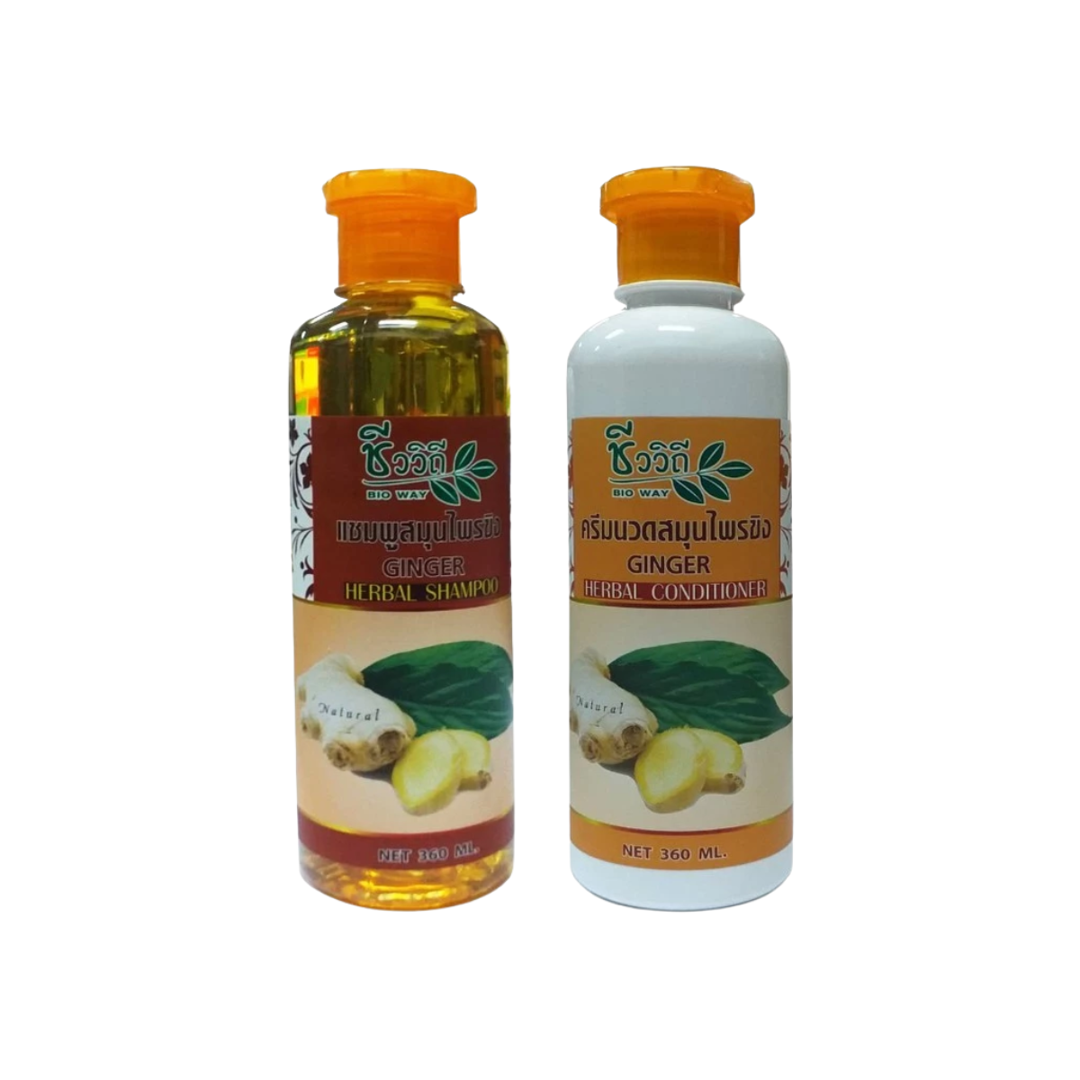 CHIVAVITHI Ginger Herbal Shampoo & Conditioner Set 360ml ชีววิถี เซ็ตแชมพูและครีมนวด ขิง