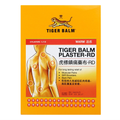 Tiger Palm 10x14 cm