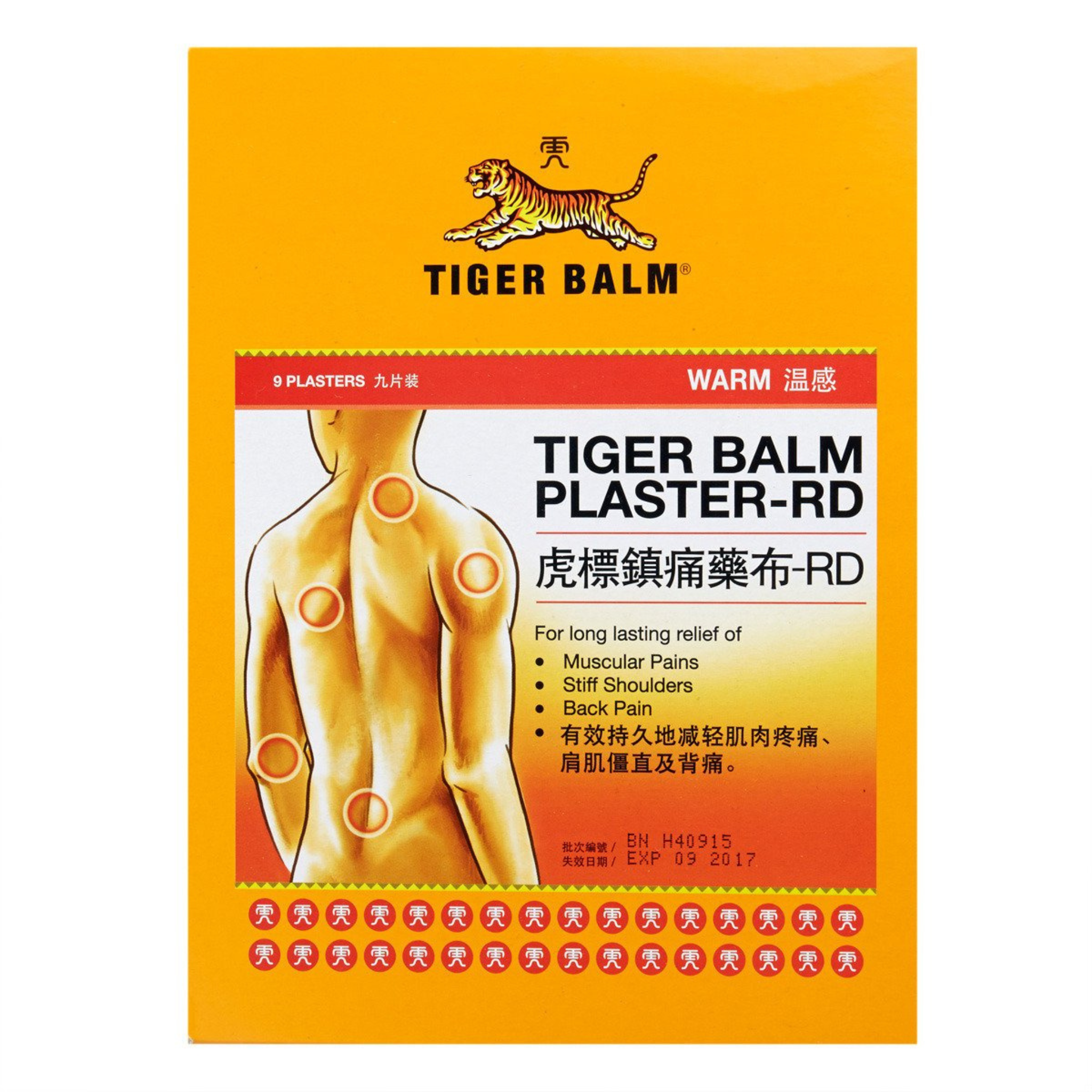 Tiger Palm 10x14 cm