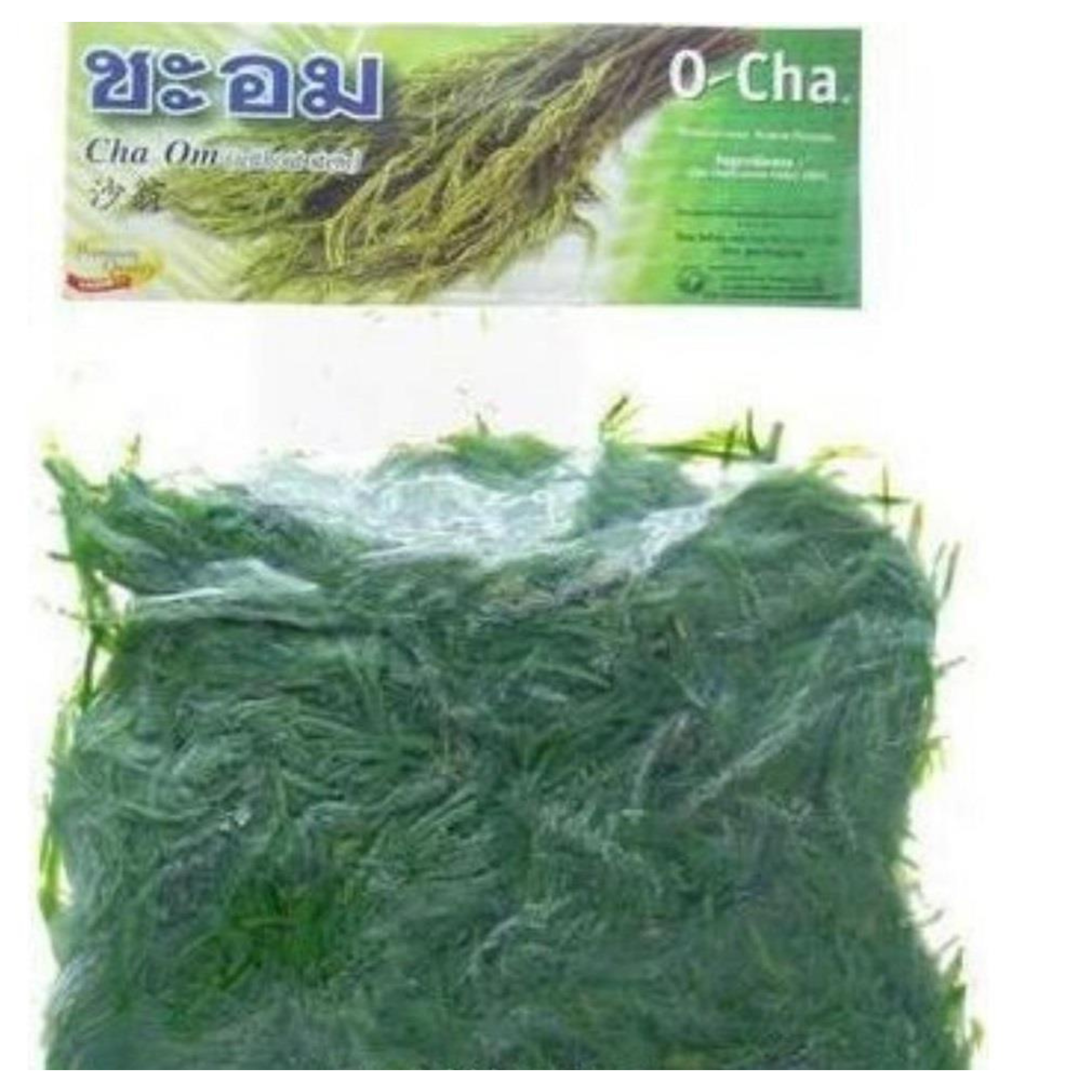 O-cha Cha-Om ชะอม