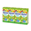 Dutch Mill Mixed Fruit ดัชมิลล์ รสผลไม้รวม